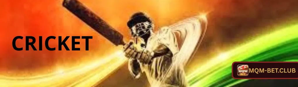 MQMBET Cricket Betting App – Play and Win Anytime