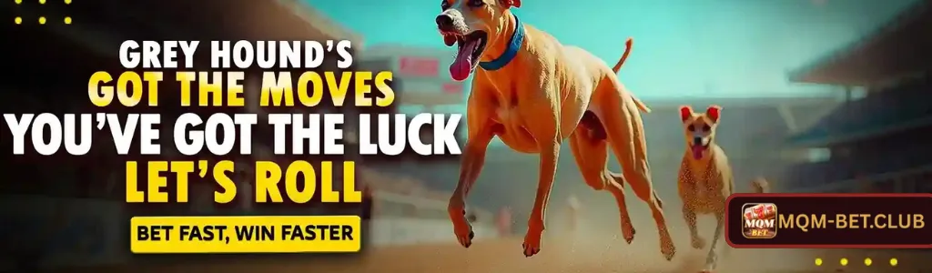 Slot Bonuses at MQMBET